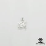 Load image into Gallery viewer, USA American Flag .950 Silver Pendant
