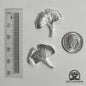 Ginkgo Tree Leaf .950 Silver Casting